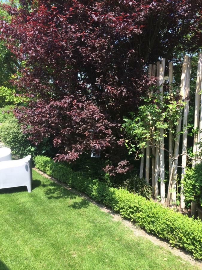 B&B Huize Van Damme ニーウポールト エクステリア 写真